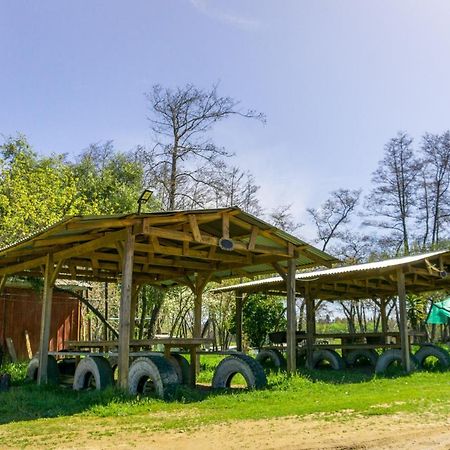 Coyunche Cabanas Y Camping Laja & San Rosendo Eksteriør bilde