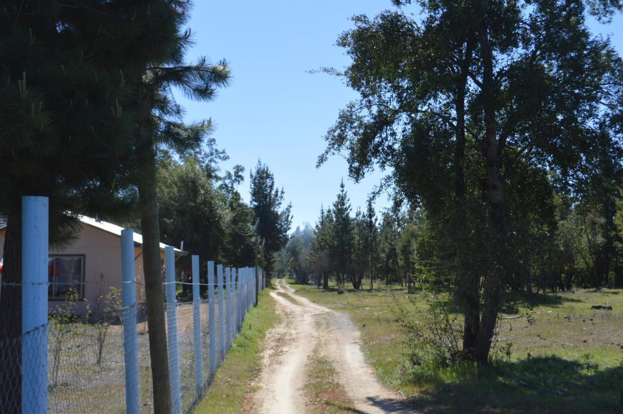 Coyunche Cabanas Y Camping Laja & San Rosendo Eksteriør bilde