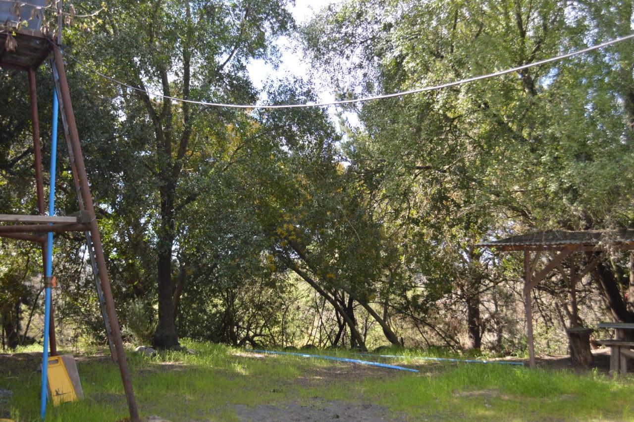 Coyunche Cabanas Y Camping Laja & San Rosendo Eksteriør bilde
