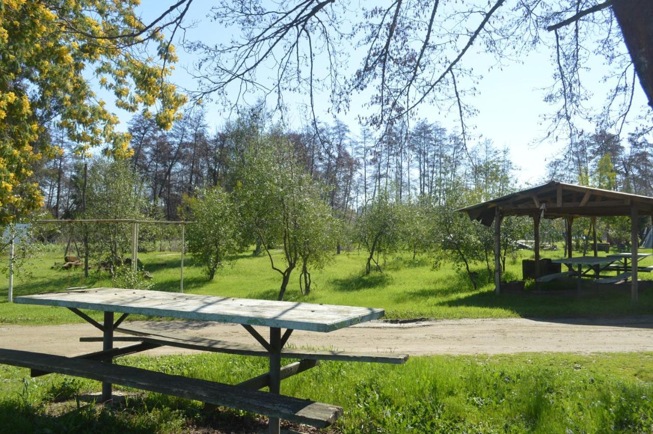Coyunche Cabanas Y Camping Laja & San Rosendo Eksteriør bilde
