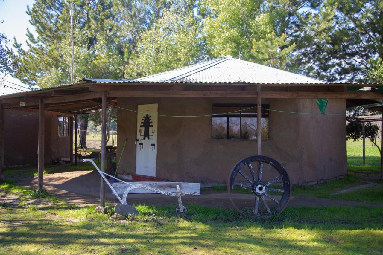 Coyunche Cabanas Y Camping Laja & San Rosendo Eksteriør bilde