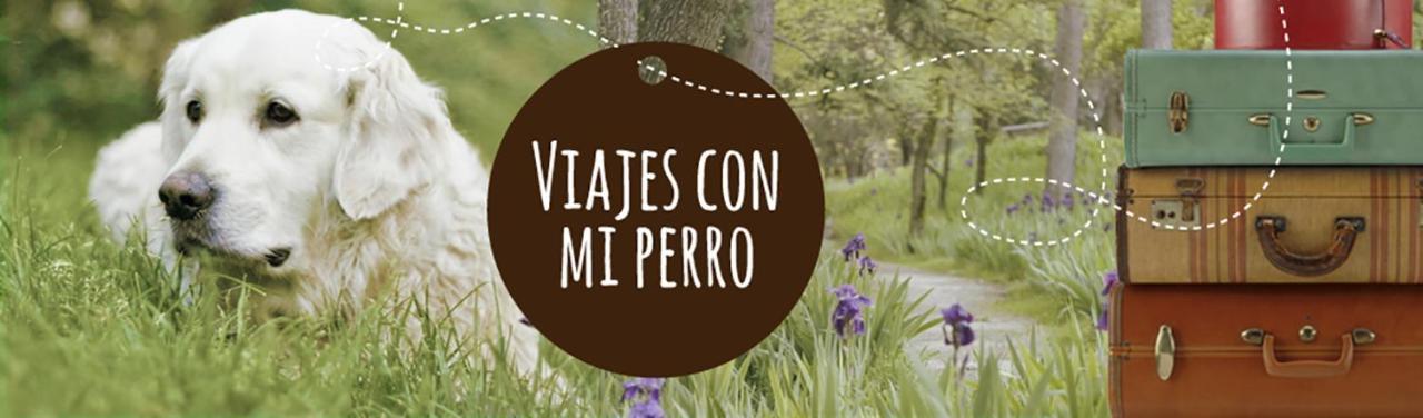 Coyunche Cabanas Y Camping Laja & San Rosendo Eksteriør bilde
